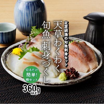 ふるさと納税 天草市 天草わくわく旬魚刺身づくし(さく)3〜4人前_S059-013A