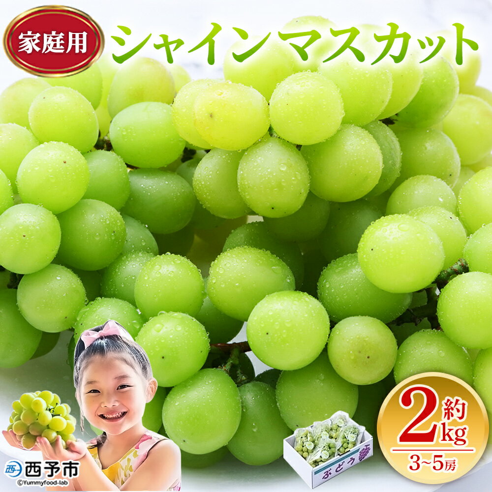 【ふるさと納税】＜シャインマスカット 家庭用 約2kg＞ 果物 くだもの フルーツ ぶどう 葡萄 ブドウ シャインマスカット しゃいんますかっと 3～5房 2キロ ご家庭用 種なし 甘い 皮ごと 特産品 宇都宮物産 愛媛県 西予市【冷蔵】『2025年9月中旬～10月上旬迄に順次出荷予定』