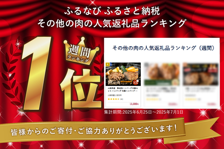 山梨県産 熟成肉 ハンバーグ 10個 セット 冷凍 ハンバーグ