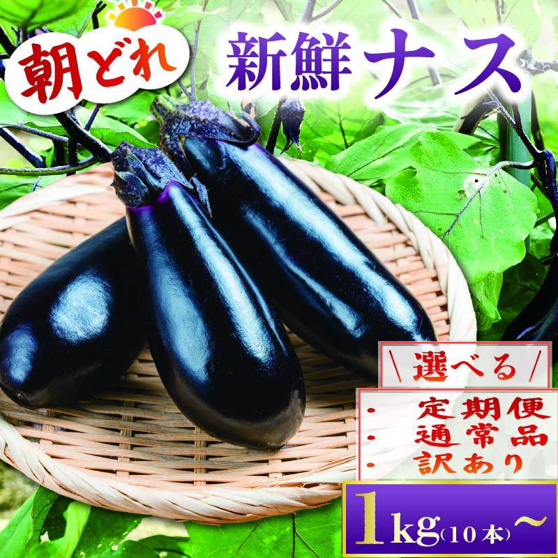 【ふるさと納税】選べる 収穫したその日に発送する新鮮ナス【2025年10月下旬から発送】