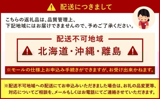 福岡県産特産品 うまもぐ厳選果物 福岡県産 博多あまおう DX上級品 約500g（約250g×2パック入り）【2025年12月発送】あまおう いちご 苺 イチゴ 果物 フルーツ