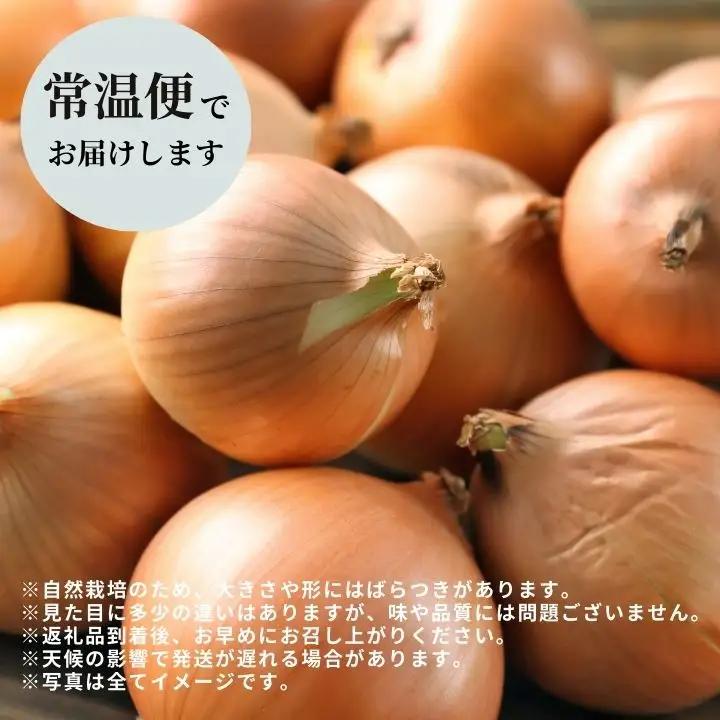 玉ねぎ 10kg / 玉ねぎ