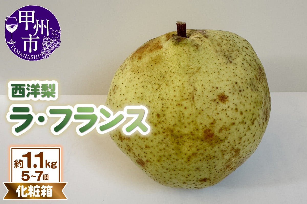 
                  童夢の西洋梨「ラ・フランス」化粧箱 約1.1kg（5～7個入り）【2026年発送】（DOM）B-1451
                