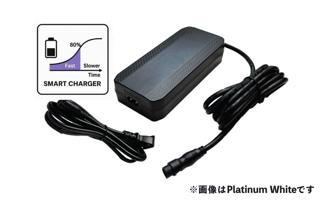 BESV PSF2折りたたみ電動アシスト自転車20インチミニベロ