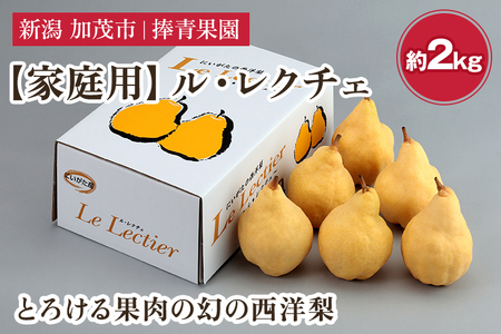 【2026年先行予約】【家庭用】西洋梨 ル・レクチェ 約2kg（5〜7玉） 《11月下旬～順次発送》 ル・レクチエ ルレクチエ ルレクチェ 捧青果園