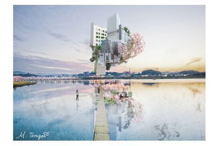 No.183 1－RA3 大阪狭山市×ローレフォト 天空のツリーハウス