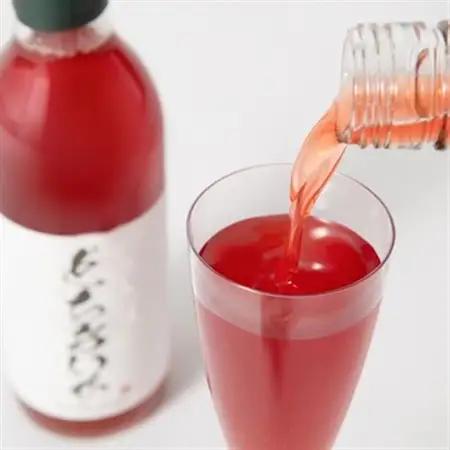 とちあいかドロップス 360ml×2本【1529277】