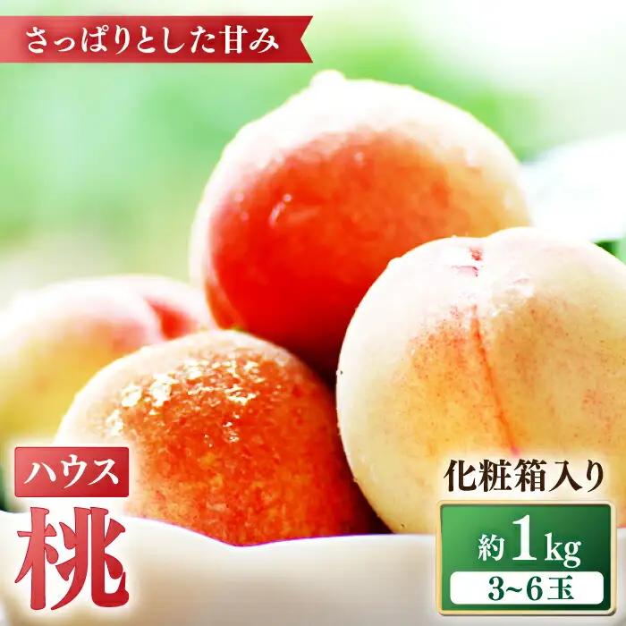 【2027年5月下旬-発送】桃 特別栽培ハウスもも 約1kg 化粧箱入り / 桃 もも モモ フルーツ 果物 旬 / 南島原市 / ふくはちファーム [SBS005]