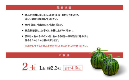 植木ブランド 小玉すいか 約2.3kg 2玉 ひとりじめ  春スイカ 植木 スイカ 西瓜 果物 フルーツ セット 【2026年5月上旬～5月下旬迄順次発送予定】