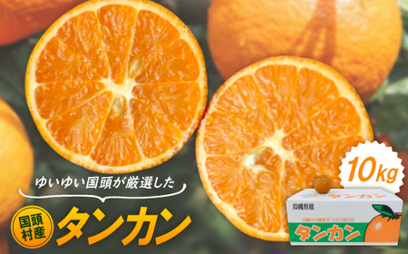 【2026年1月から順次発送】ゆいゆい国頭が厳選した国頭村産タンカン10kg【1651882】