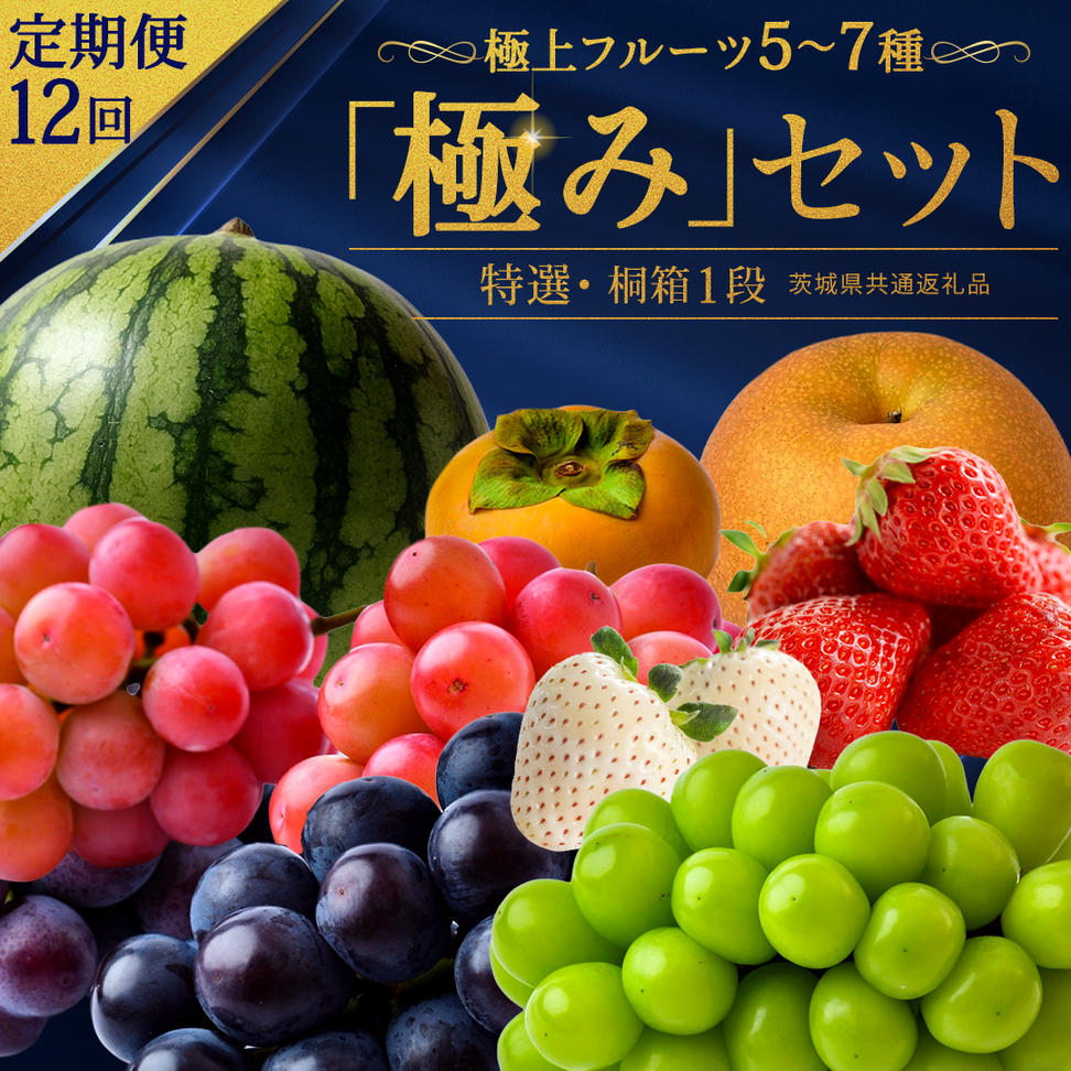 毎月お届け！【1年間】 定期便 極上フルーツ5〜7種 プレミ
