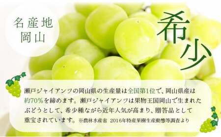 【期間限定】 鏡野町産 瀬戸ジャイアンツ 2kg（2～4房）