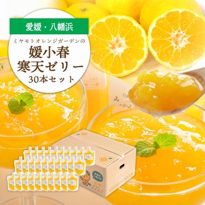 ゲル化剤・pH調整剤不使用!愛媛産 媛小春寒天ゼリー 30本セット【H25−238】【1630020】