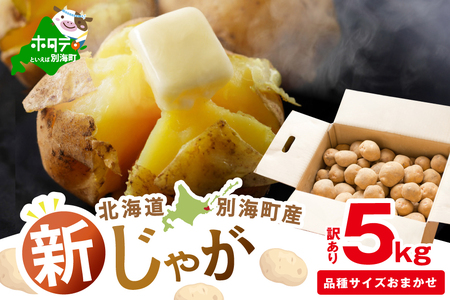 2025年10～12月発送 北海道別海町産 じゃがいも5kg(１種おまかせ)（きたあかり、ワセシロ、男爵、メークイーン、レッドムーン）