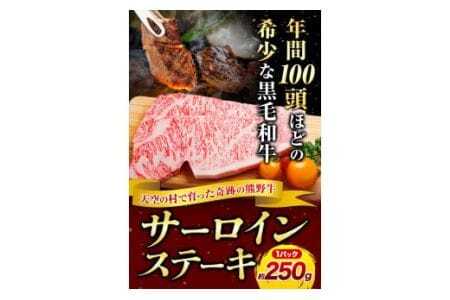 サーロインステーキ 黒毛和牛 牛 牛肉 ステーキ 約250g 約250g×1パック 