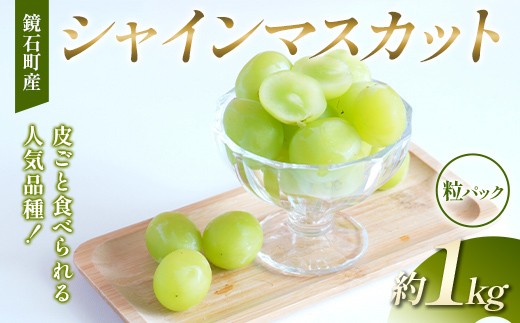【粒パック】皮ごと食べられる人気品種！鏡石町産 シャインマスカット 約1kg 家庭用 マスカット ぶどう ブドウ 葡萄 デザート フルーツ 果物 くだもの 果実 食品 F6Q-486
