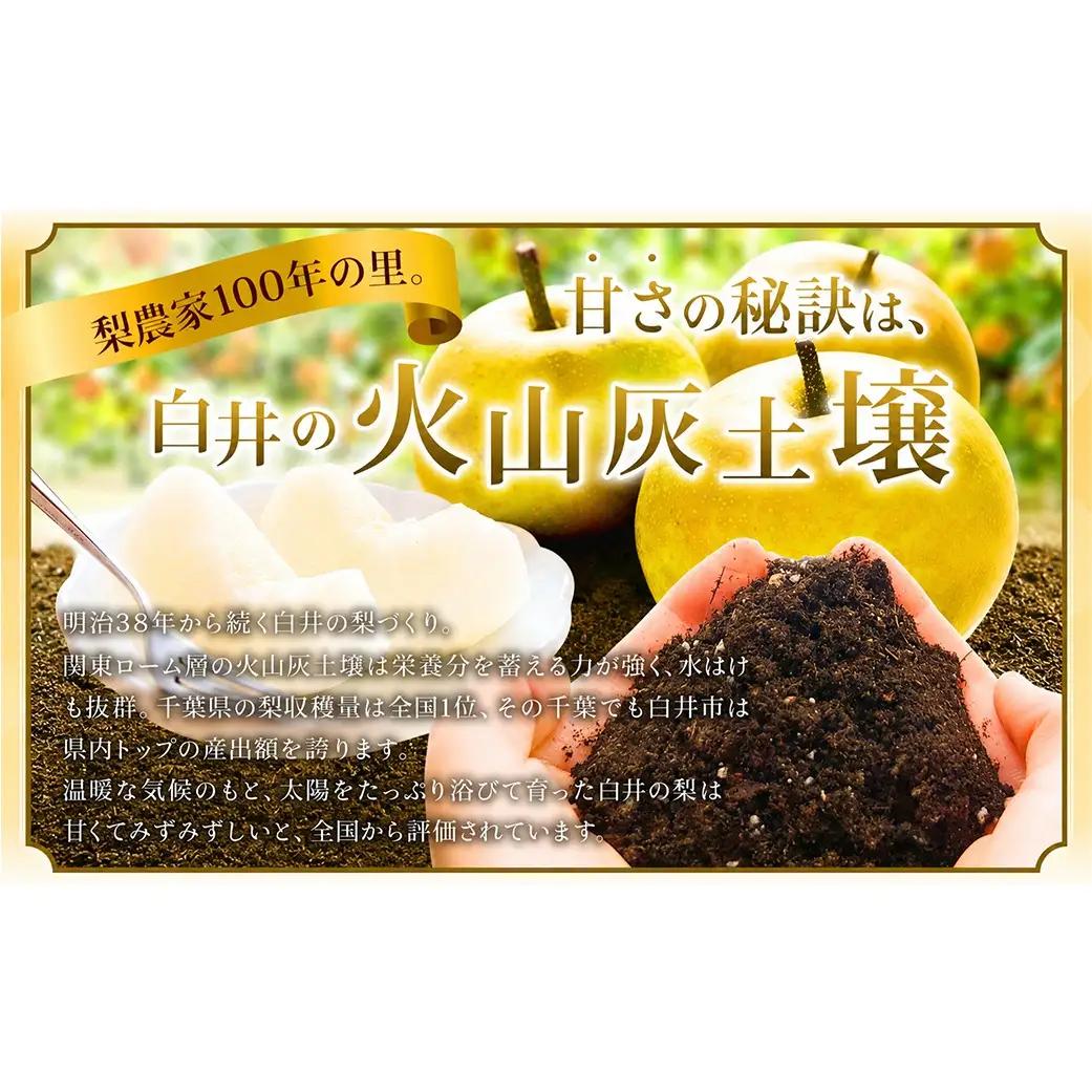 あきづき約5kg12～18玉