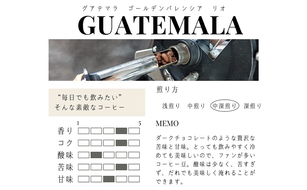 【12か月定期便】 グアテマラ ゴールデンパレンシア リオ ウォッシュド （中深煎り） 400g