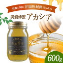 【ふるさと納税】美濃蜂蜜 アカシア 600g 【マンモスハウス合同会社】 はちみつ 非加熱 国産 [TEW006]