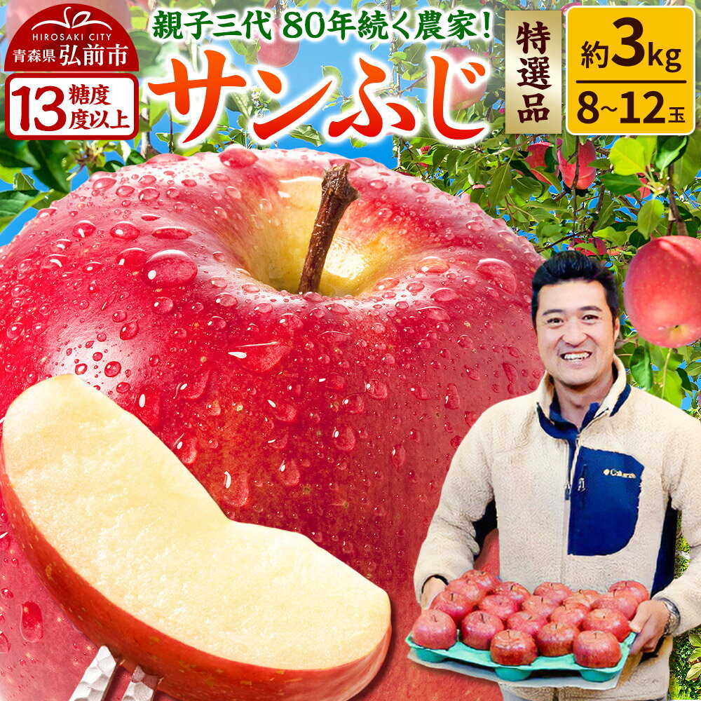 【ふるさと納税】りんご 【糖度13度以上】サンふじ【特選品】約3kg 8〜12玉程度 ASIAGAP認証農場 津軽農園