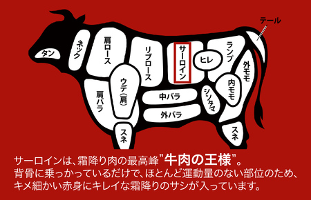 【全6回定期便】黒毛和牛 A5ランク サーロインブロック 2kg 和牛 冷蔵 サーロインブロック サーロインブロック サーロインブロック