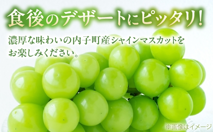 シャインマスカット しゃいんますかっと シャイン マスカット ますかっと Shine Muscat 秀品 3～5房 皮ごと