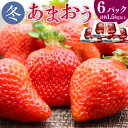 【ふるさと納税】【2024年12月上旬-2025年1月下旬発送予定】 博多あまおう6パック(冬) 250g-270g×6パック 計約1.5kg以上 あまおう いちご 苺 ストロベリー 果物 フルーツ 福岡県産 博多 福岡 青果 送料無料