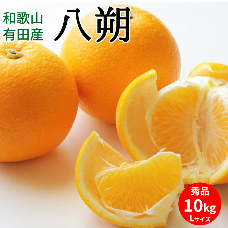【ふるさと納税】【2026年先行予約】八朔 秀品 約10kg Lサイズ 和歌山県有田産【はっさく ハッサク 八朔 和歌山】