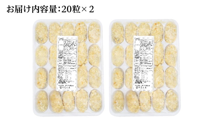 テレビで話題！広島県産 鍛え牡蠣 冷凍かきフライ 20粒×2袋 牡蠣 人気 料理 簡単 カキフライ おつまみ お弁当 お惣菜 おかず 江田島市/有限会社寺本水産[XAE016]