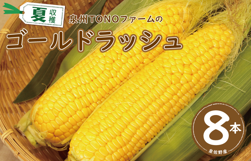 ゴールドラッシュ 8本【新鮮 野菜 泉佐野産 とうもろこし コーン やさい TONOファーム 高評価 数量限定 先行予約】 G1101