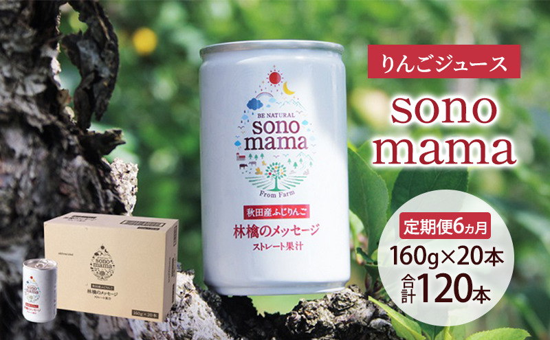 《 定期便 6ヵ月 》りんごジュース「sonomama」（160g×20本）りんご リンゴ ジュース リンゴジュース 飲料