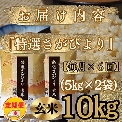 ふるさと納税 みやき町 【毎月定期便】《特選さがびより》玄米10kg(5kg×2袋)【みやき町産】全6回_SS533 |  | 02