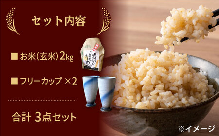 【令和5年産：玄米】 特別栽培米 コシヒカリ （2kg） + 【美濃焼】 青雲かいらぎ フリーカップ 大 （2個） 【山松加藤松治郎商店】[TEU010]