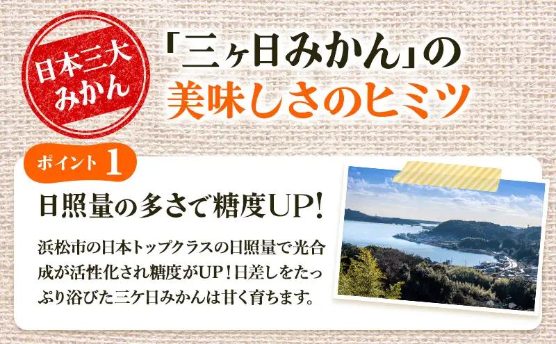 みかん プレミアム 早生 5kg Lサイズ混在 蜜柑 みかん