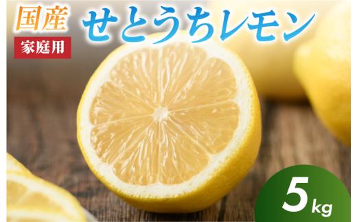 せとうちレモン　今治産　5kg【K002320KG5】