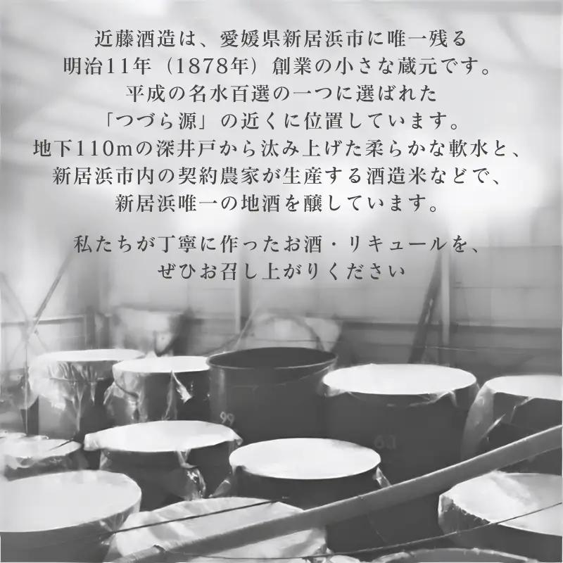 リキュール みかん 720ml × 1本 リキュール