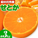 【ふるさと納税】せとか 紀の川市産 約 3kg ひろみ農園《2月中旬-3月末頃出荷》和歌山県 紀の川市 柑橘 みかん フルーツ 果物