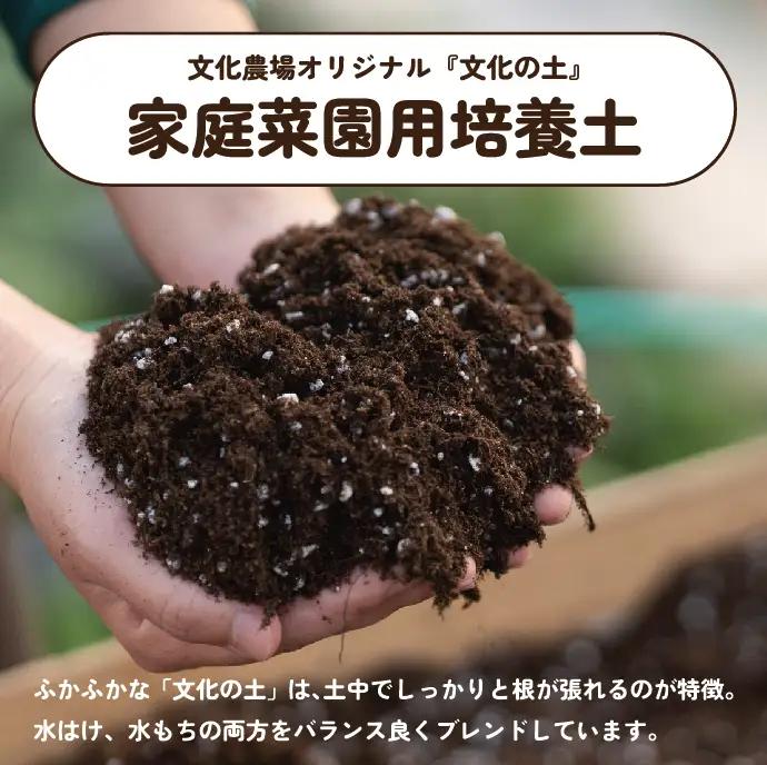 家庭菜園用培土「文化の土」90L　016BK01N.／ガーデニング 花 野菜 栽培 ベランダ菜園 培土 用土 初期育成 肥料入り 家庭菜園 土 培養土 鉢植え 園芸用土 初心者 元肥入り はじめての家