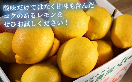 【先行予約】＜天晴レモン 贈答用 約2kg＞ フルーツ 果物 くだもの レモン れもん 檸檬 柑橘 プレゼント 贈り物 お返し お礼 ギフト アレンジ 料理 国産 国産レモン 愛媛県産 特産品 株式会