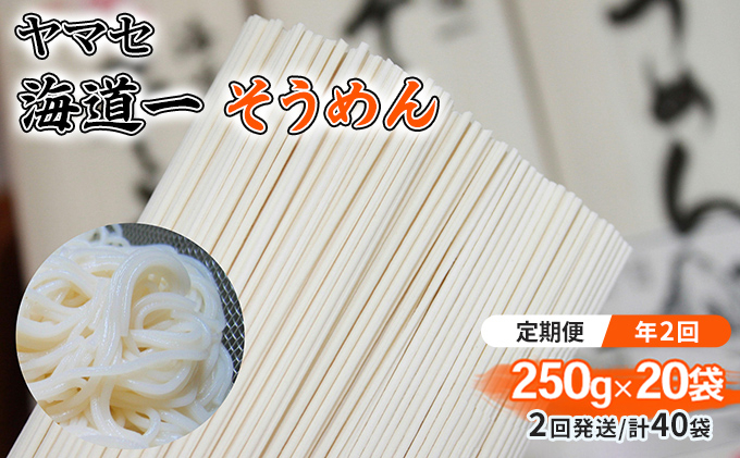 
【定期便 年2回】ヤマセ 海道一 そうめん 250g × 20袋（2回発送・計40袋） [№5786-5137]
