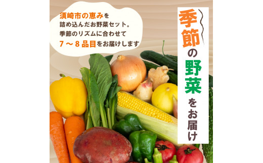 野菜定期便 7品~8品 6ヵ月 【6ヶ月】野菜定期便