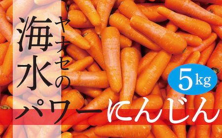 R6年産　海水パワーにんじん　5kg　ヤナセ農園/009-27167-a01A