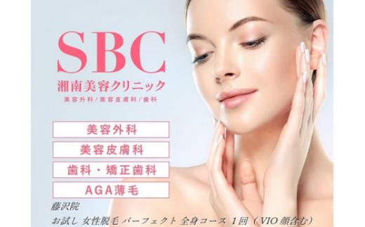 
お試し 女性脱毛 パーフェクト 全身コース 1回 VIO 顔含む 藤沢院／SBC 湘南 美容 クリニック ふるさと納税 脱毛 医療 レーザー 利用券 チケット 神奈川県 藤沢市
