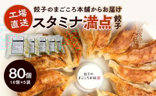 スタミナ満点ぎょうざ5袋セット_にんにく好き必見 にんにく餃子 5袋 セット スタミナ満点ぎょうざ 16個入り × 5袋 真心餃子 豚肉 餃子のまごころ本舗 福岡県 久留米市 お取り寄せ 簡単 グルメ 餃子 惣菜 おかず おつまみ 加工品 冷凍 送料無料_Cx220