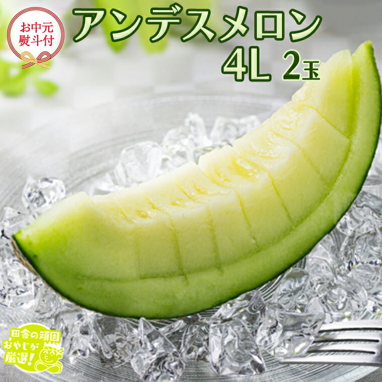 【ふるさと納税】【 お中元 熨斗 付】 アンデスメロン 4L×2個 【2026年8月より発送開始】田舎の頑固おやじが厳選！ メロン お中元 ギフト 高糖度 大玉 甘い 美味しい フルーツ