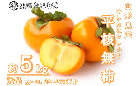 山形産 平核無柿(ひらたねなしかき) 秀品 M~2L 約5kg(22～27玉) FZ23-417