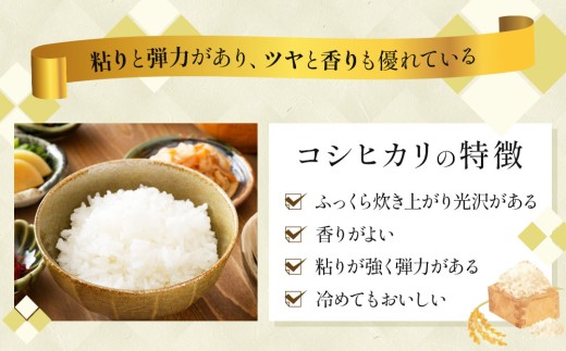 [108-a001]【定期便】≪3ヶ月≫ 令和8年産米 コシヒカリ精米 5kg