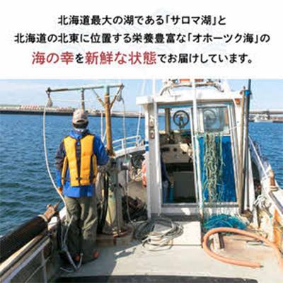 ふるさと納税 北見市 時鮭とイクラの醤油漬け 80g×4パック |  | 03
