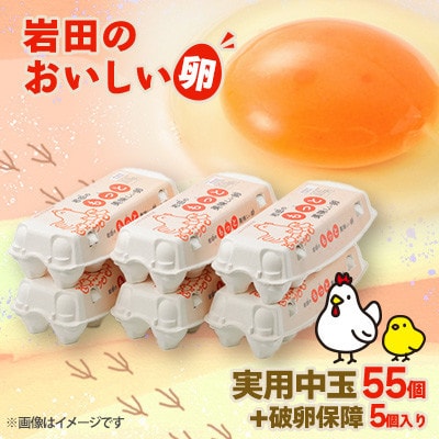 【毎月定期便】岩田のおいしい卵　実用中玉55個+破卵保障5個 (10個入り×6パック)全3回【配送不可地域：離島】【4079453】