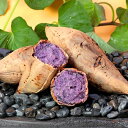 【ふるさと納税】【先行予約】鹿児島さつまいも 【紫娘】6kg　2024年10月上旬より発送A3-53【1167098】